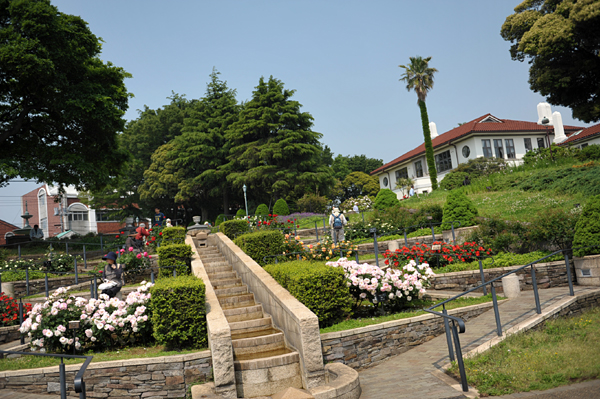 110518 hana 2.5 DSC_8231.jpg